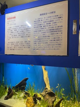しながわ水族館に投稿された画像（2025/8/14）