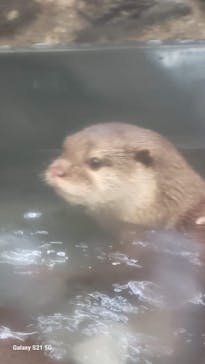 伊豆・三津シーパラダイスに投稿された画像（2025/8/14）