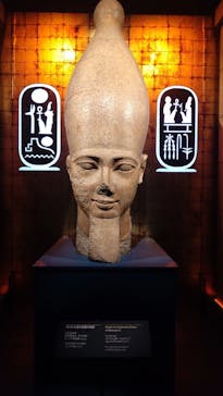 ACN ラムセス大王展 ファラオたちの黄金に投稿された画像（2025/8/14）
