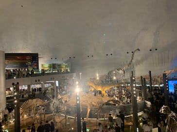 福井県立恐竜博物館に投稿された画像（2025/8/14）