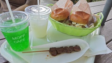 ダチョウ王国石岡ファームに投稿された画像（2025/8/15）