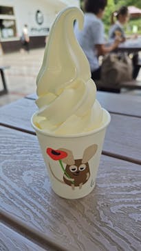 ダチョウ王国石岡ファームに投稿された画像（2025/8/15）