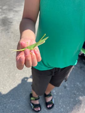 滋賀農業公園ブルーメの丘に投稿された画像（2025/8/15）