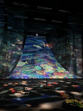 旅する光の切り絵展 ～くうそうって、まほうだよ～に投稿された画像（2025/8/15）