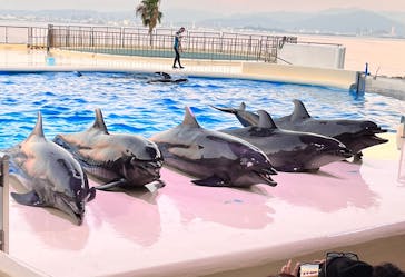 マリンワールド海の中道に投稿された画像（2025/8/15）