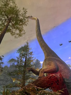福井県立恐竜博物館に投稿された画像（2025/8/15）