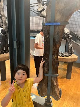 福井県立恐竜博物館に投稿された画像（2025/8/15）