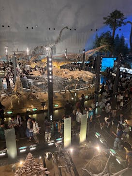 福井県立恐竜博物館に投稿された画像（2025/8/15）