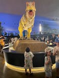 福井県立恐竜博物館に投稿された画像（2025/8/15）