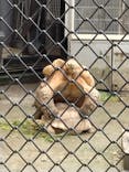 宇都宮動物園に投稿された画像（2025/8/15）