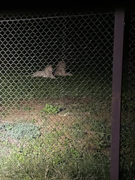 那須サファリパークに投稿された画像（2025/8/15）