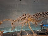 福井県立恐竜博物館に投稿された画像（2025/8/15）