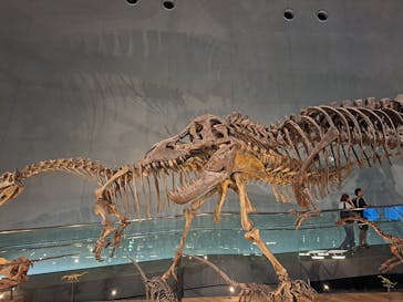 福井県立恐竜博物館に投稿された画像（2025/8/15）