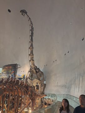 福井県立恐竜博物館に投稿された画像（2025/8/15）