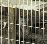 名古屋市東山動植物園に投稿された画像（2025/8/15）