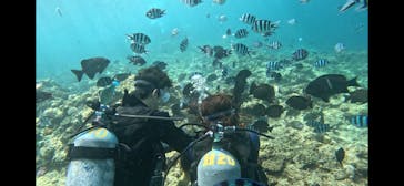 武藤潜水に投稿された画像（2025/8/15）