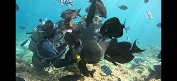 武藤潜水に投稿された画像（2025/8/15）