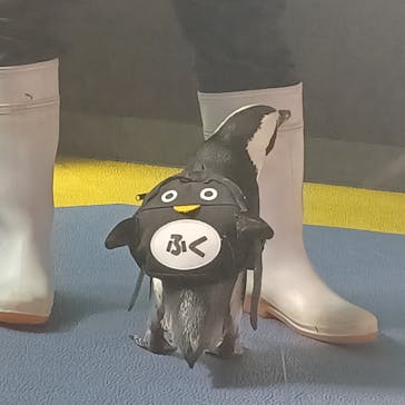 箱根園水族館に投稿された画像（2025/8/15）