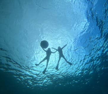 沖縄マリンサービス碧に投稿された画像（2025/8/15）