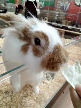 いきもの探検隊上尾に投稿された画像（2025/8/12）