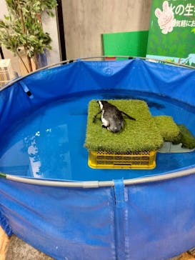 いきもの探検隊上尾に投稿された画像（2025/8/12）