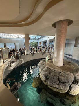 名古屋港水族館に投稿された画像（2025/8/15）
