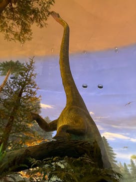 福井県立恐竜博物館に投稿された画像（2025/8/15）