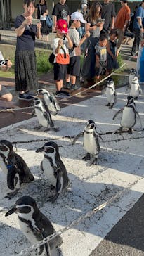 越前松島水族館に投稿された画像（2025/8/15）
