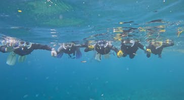 武藤潜水に投稿された画像（2025/8/15）