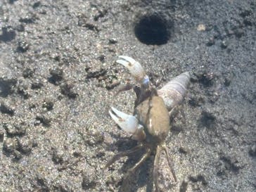 葛西臨海水族園に投稿された画像（2025/8/15）