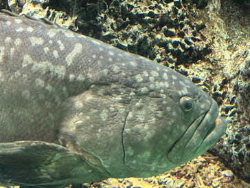 葛西臨海水族園に投稿された画像（2025/8/15）