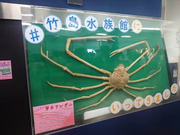 竹島水族館に投稿された画像（2025/8/15）