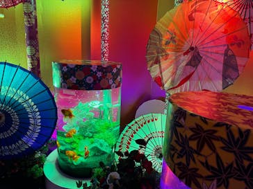 錦鯉・金魚アクアリウム in ときメッセに投稿された画像（2025/8/15）