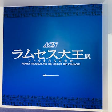 ACN ラムセス大王展 ファラオたちの黄金に投稿された画像（2025/8/15）