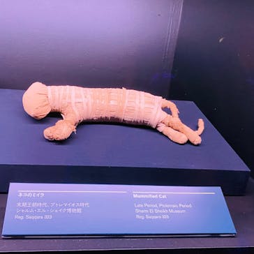 ACN ラムセス大王展 ファラオたちの黄金に投稿された画像（2025/8/15）