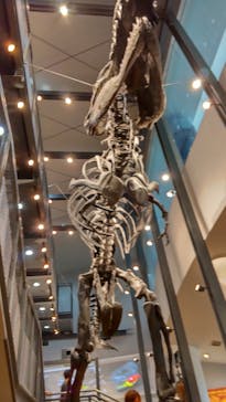 福井県立恐竜博物館に投稿された画像（2025/8/15）