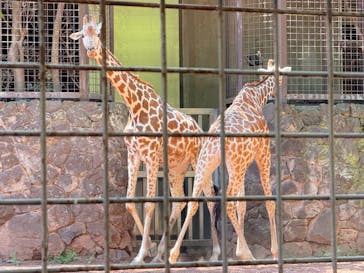 恩賜上野動物園に投稿された画像（2025/8/15）