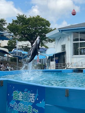 のとじま水族館に投稿された画像（2025/8/15）