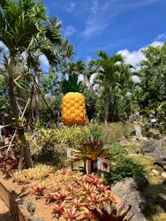 ナゴパイナップルパークに投稿された画像（2025/8/15）