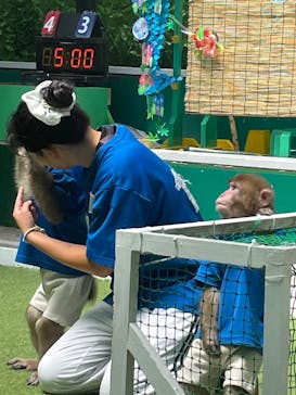 おさるランド＆アニタウン　日光さる軍団劇場に投稿された画像（2025/8/15）