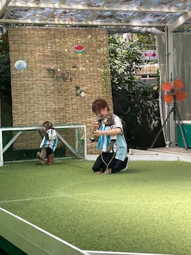 おさるランド＆アニタウン　日光さる軍団劇場に投稿された画像（2025/8/15）