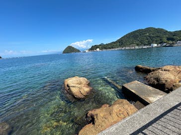 伊豆・三津シーパラダイスに投稿された画像（2025/8/15）