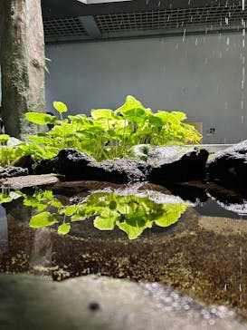 伊豆・三津シーパラダイスに投稿された画像（2025/8/15）