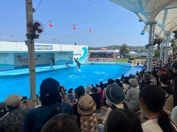 南知多ビーチランド＆南知多おもちゃ王国に投稿された画像（2025/8/15）