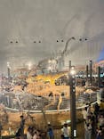 福井県立恐竜博物館に投稿された画像（2025/8/15）