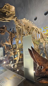福井県立恐竜博物館に投稿された画像（2025/8/15）