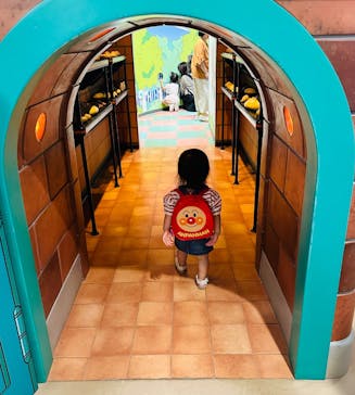 香美市立やなせたかし記念館　(アンパンマンミュージアム＆詩とメルヘン絵本館）に投稿された画像（2025/8/15）