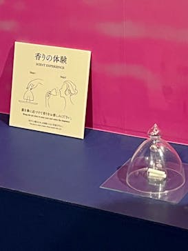 正倉院 THE SHOW －感じる。いま、ここにある奇跡－に投稿された画像（2025/8/15）