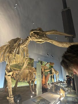 福井県立恐竜博物館に投稿された画像（2025/8/15）