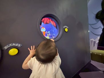 神戸アンパンマンこどもミュージアム＆モールに投稿された画像（2025/8/15）